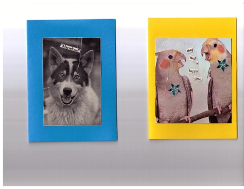 cards dog birds.jpg cards dog birds.jpg